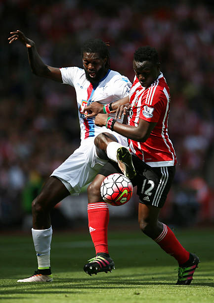 马来亚虎不 马来亚虎不